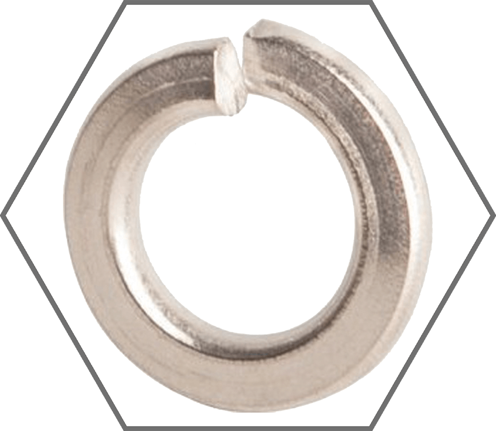 3/4" Grade 316 Stainless Steel Medium Split Lock Washer