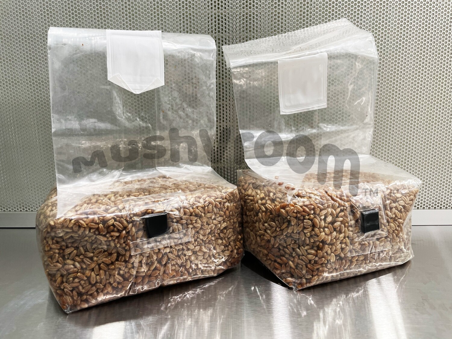 Sterilized Grain Bags Rye Berry