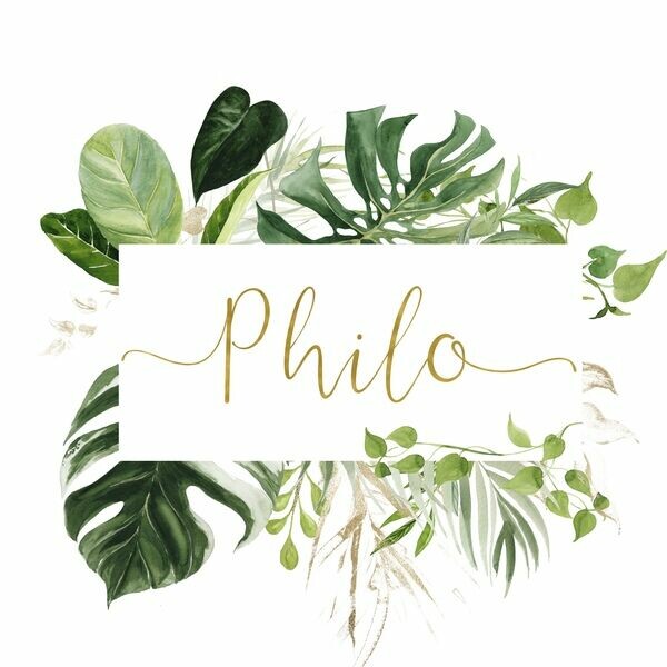 Philo Cincinnati