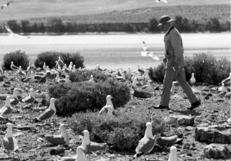 Senior Membership (60+)