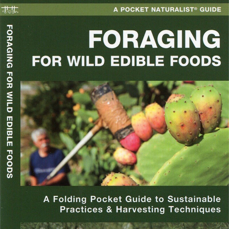 Pocket Guide Foraging For Wild Edible Foods