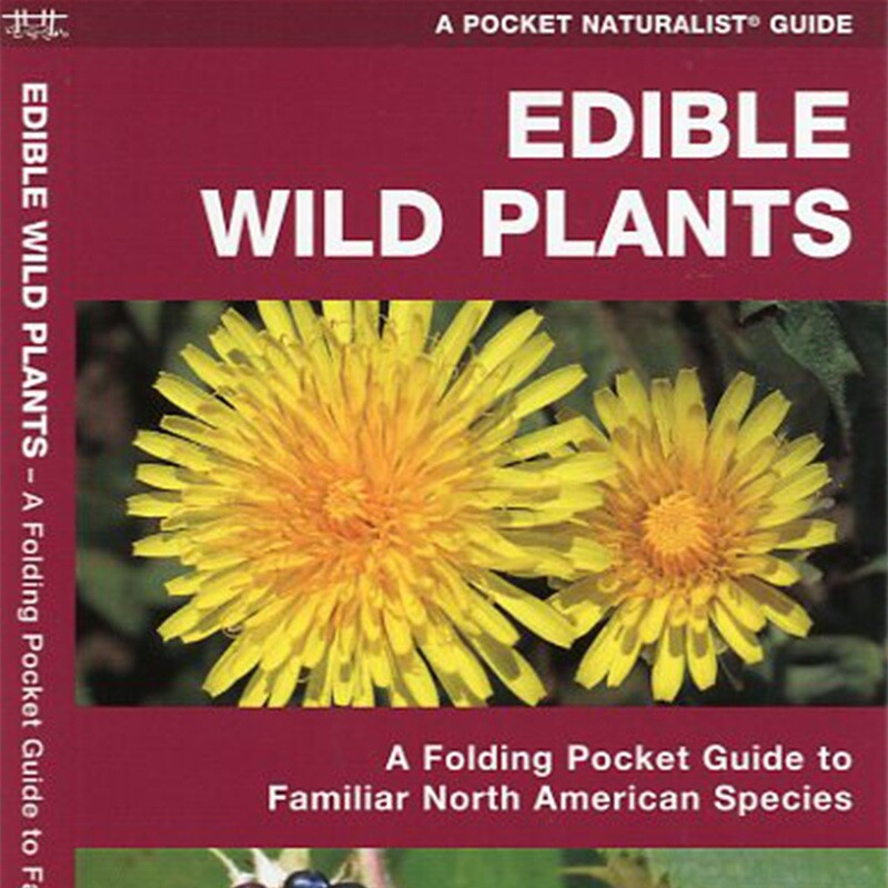 Pocket Guide Edible Wild Plants