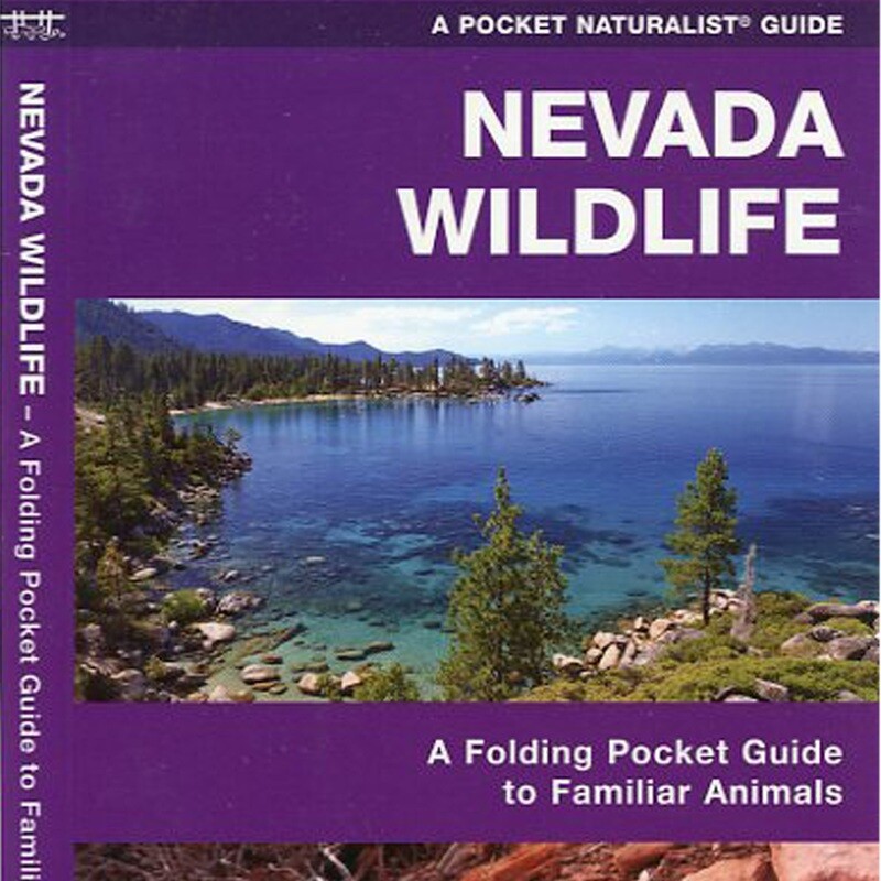 Pocket Guide Nevada Birds