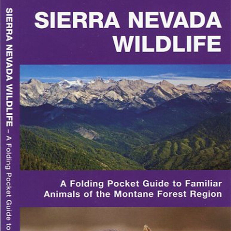 Pocket Guide Sierra Nevada Wildlife