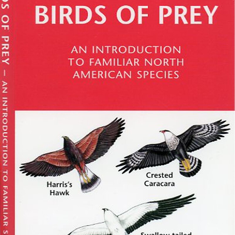 Pocket Guide Birds of Prey