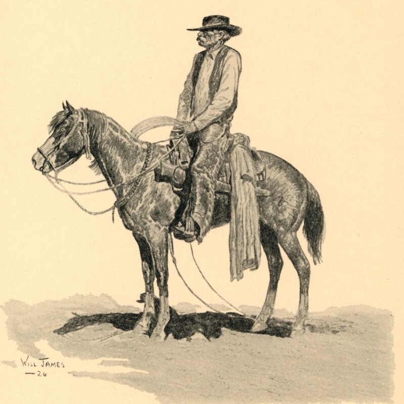 Cow Country (Tumbleweed Series) by Will James