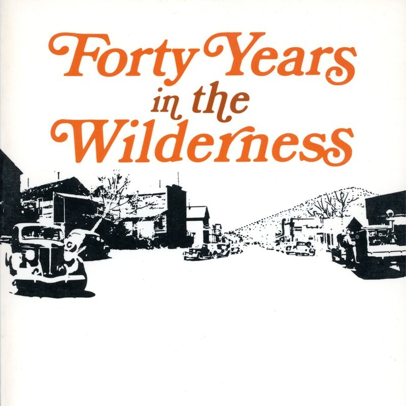 Forty years in the wilderness by James W. Hulse