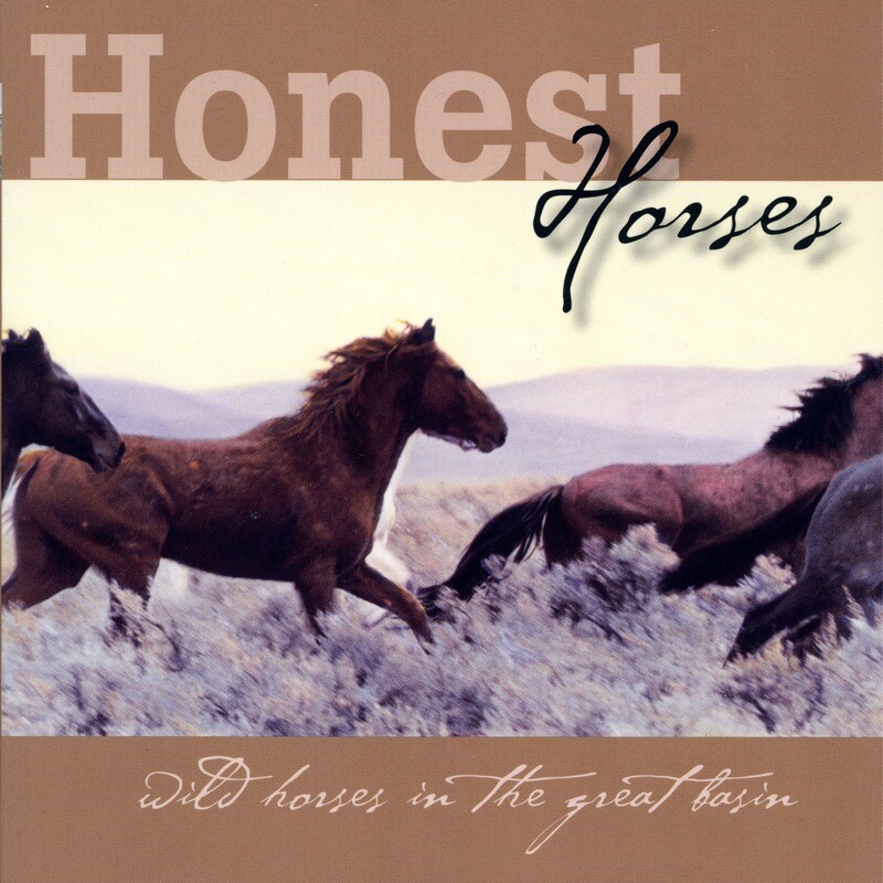 Honest horses by Paula Morin