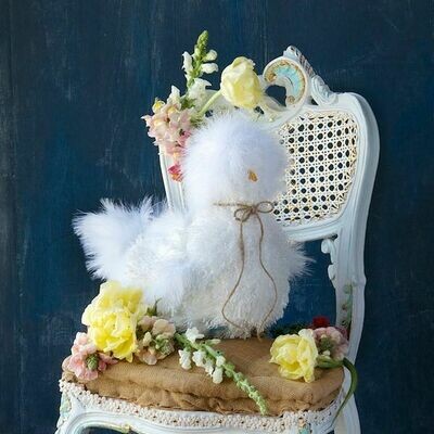 Dolly Silkie Chicken