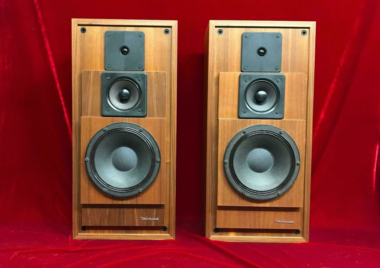 Enceinte Cabasse Molene (occasion Révisée) – Garantie 1 An – Connexion Filaire