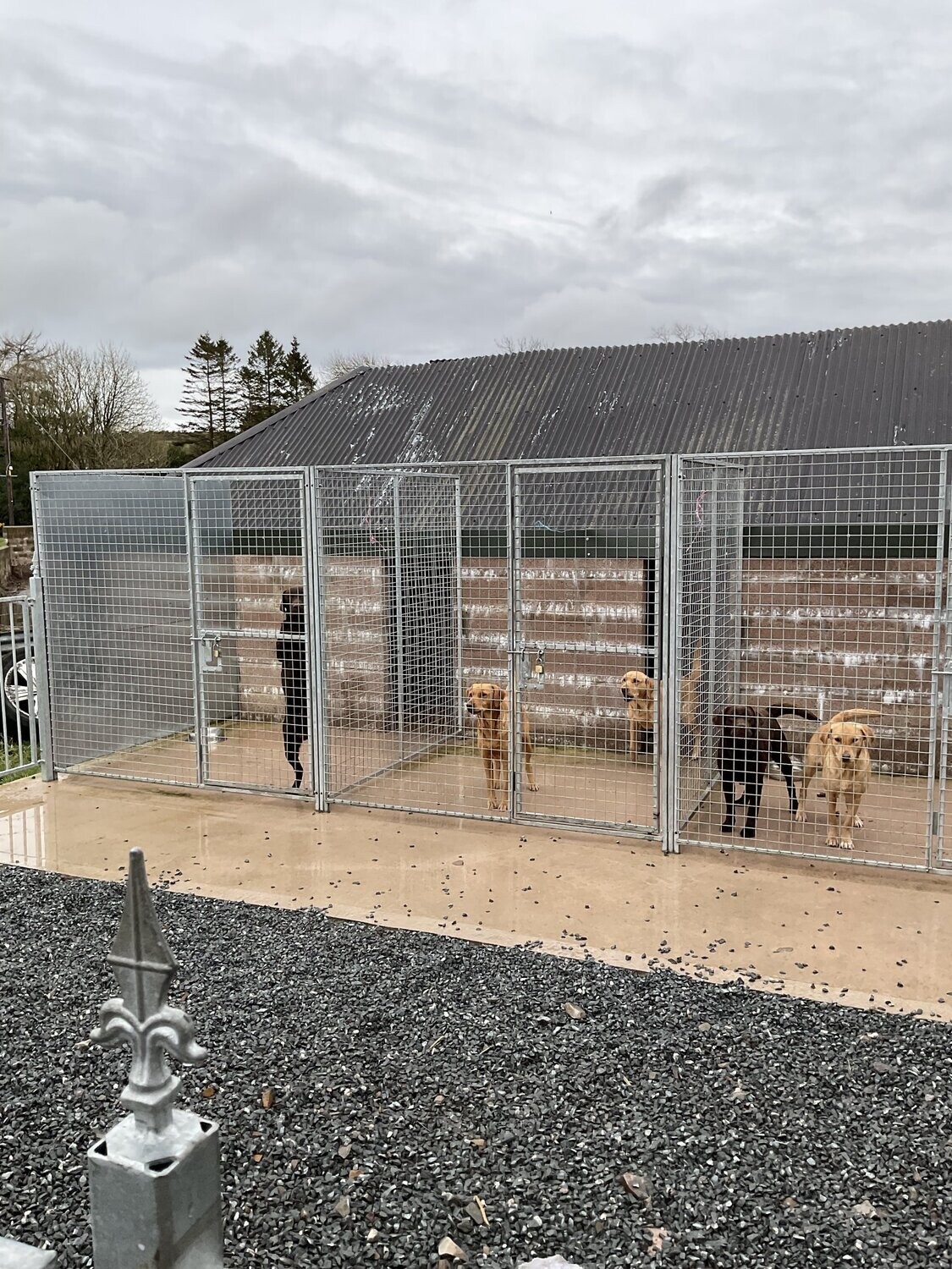 Dog Kennel Panels