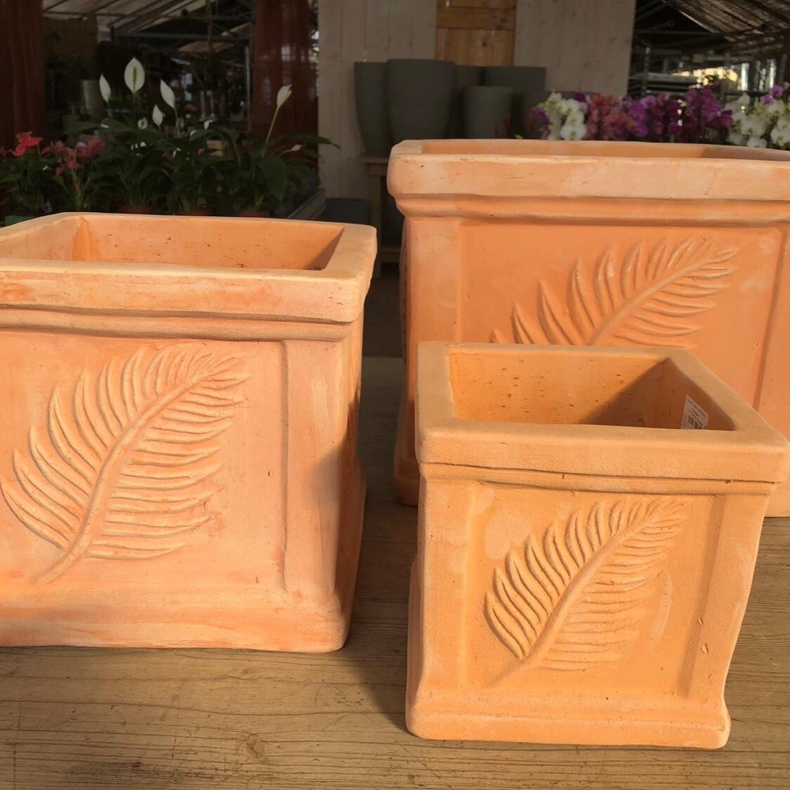 Topf eckig Terracotta "Cipresso"