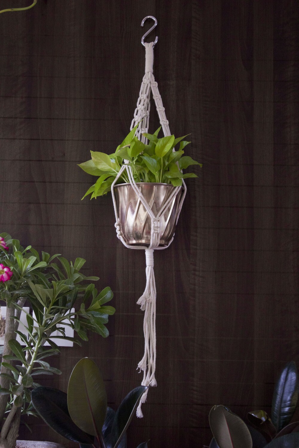Small white plant hanger