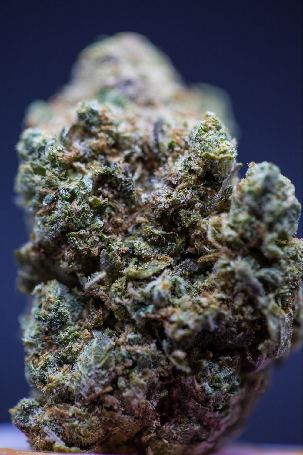 Sour Diesel (Sativa)