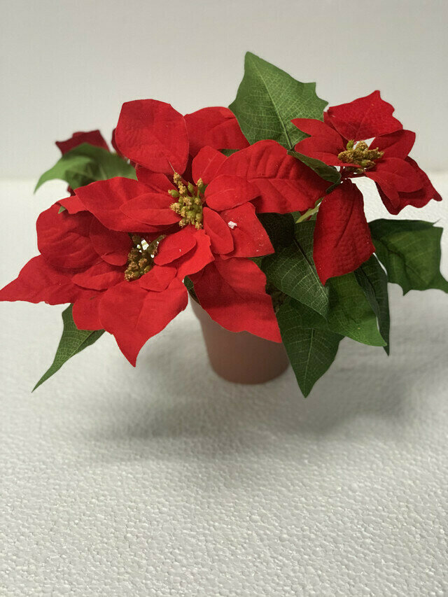 Silk Poinsettia In Pot