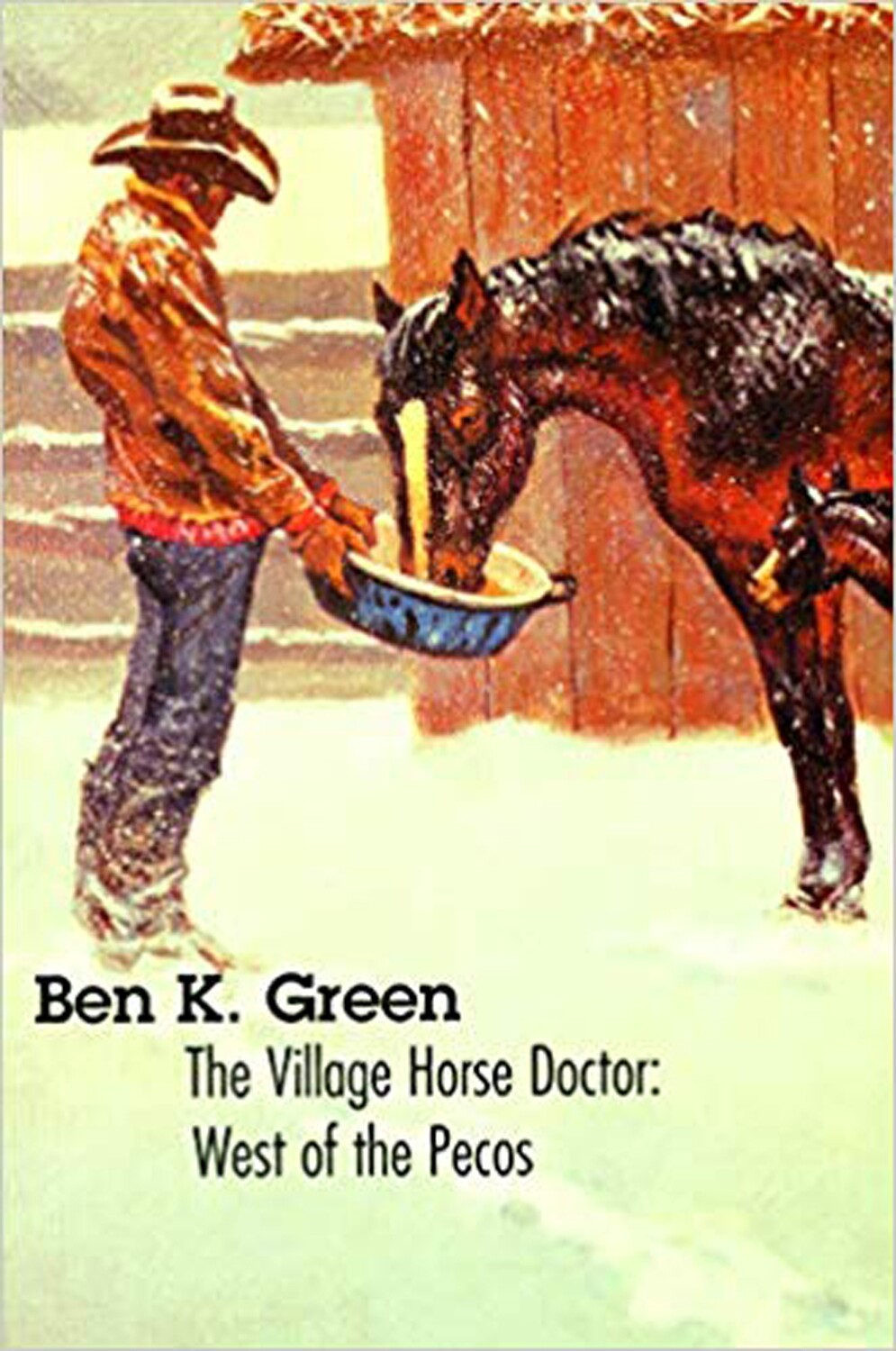 The Village Horse Doctor