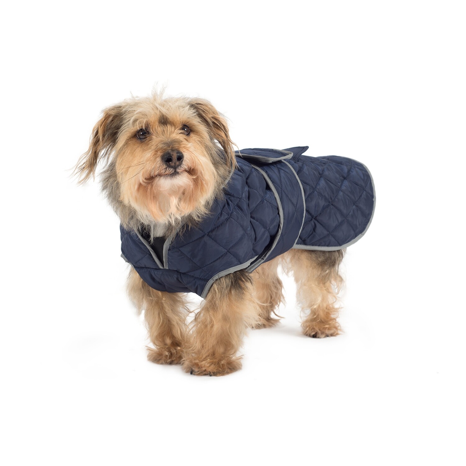 ANCOL Quilted Dog Coat Navy