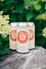 Zero Gravity Pilsino Draft Pint