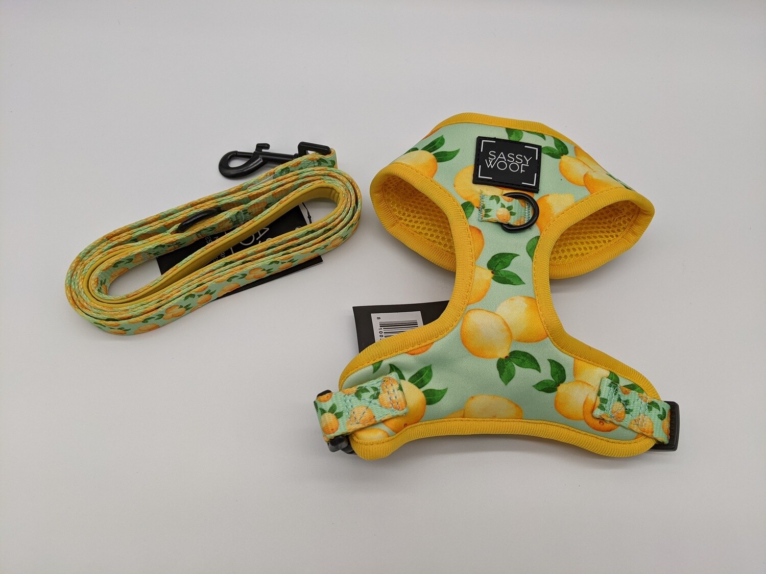 Main Squeeze harness and leash combo