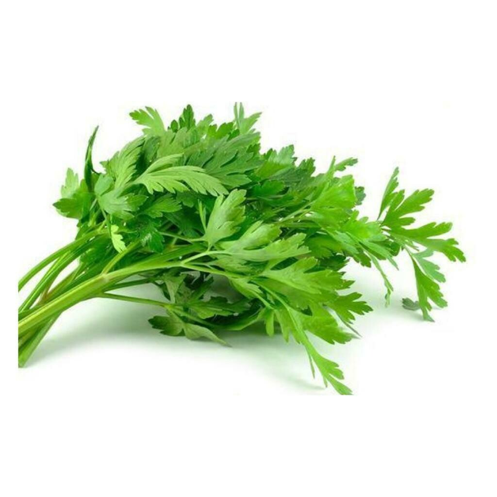 Flat Leaf Parsley