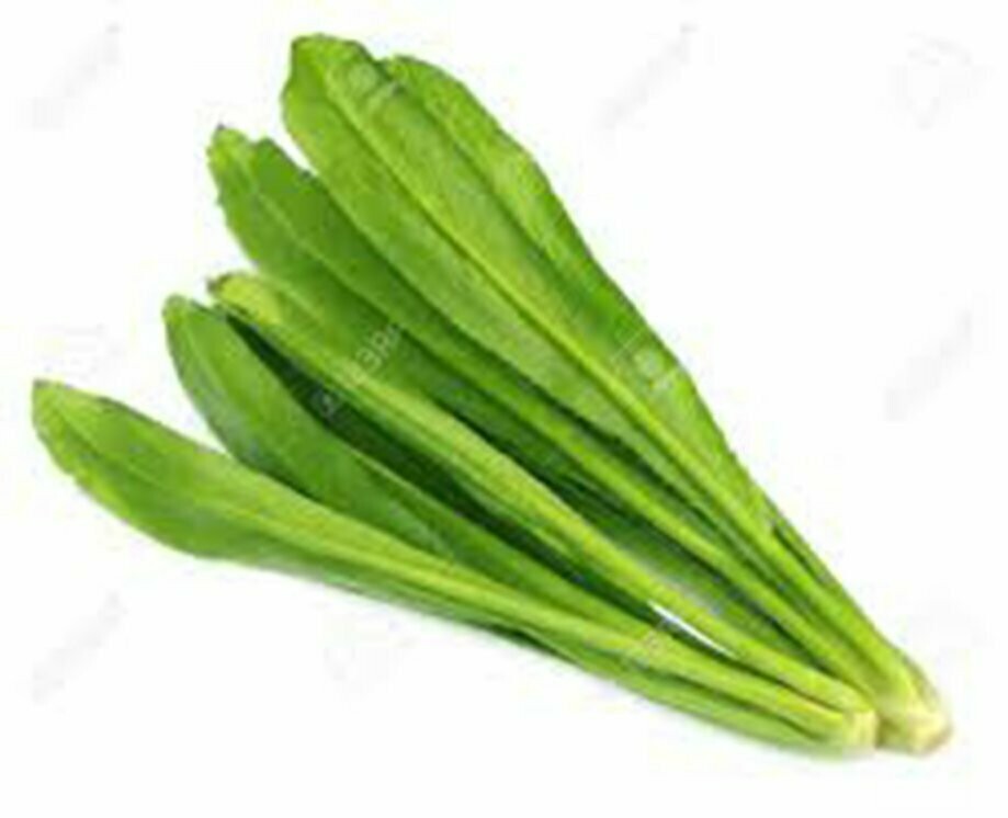 Long Leaf Coriander