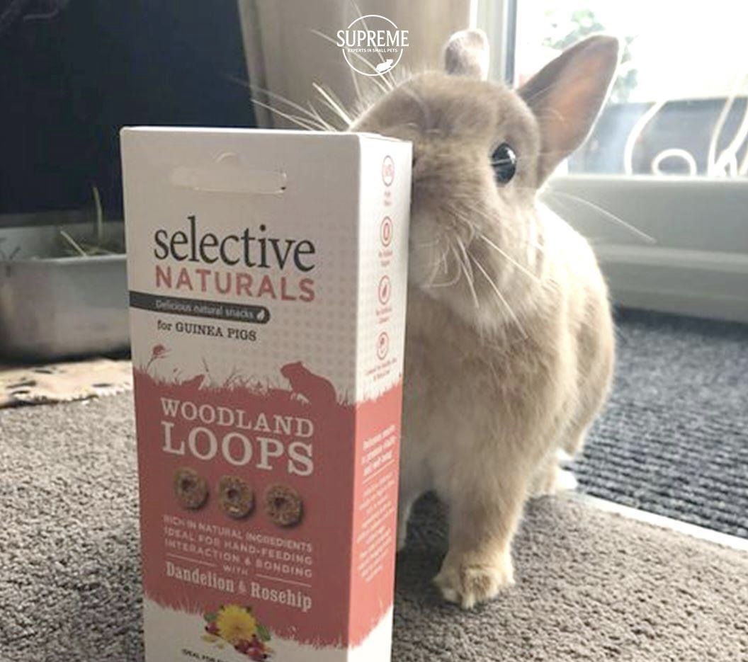 Rabbit Treats & Guinea Pig Treats NZ