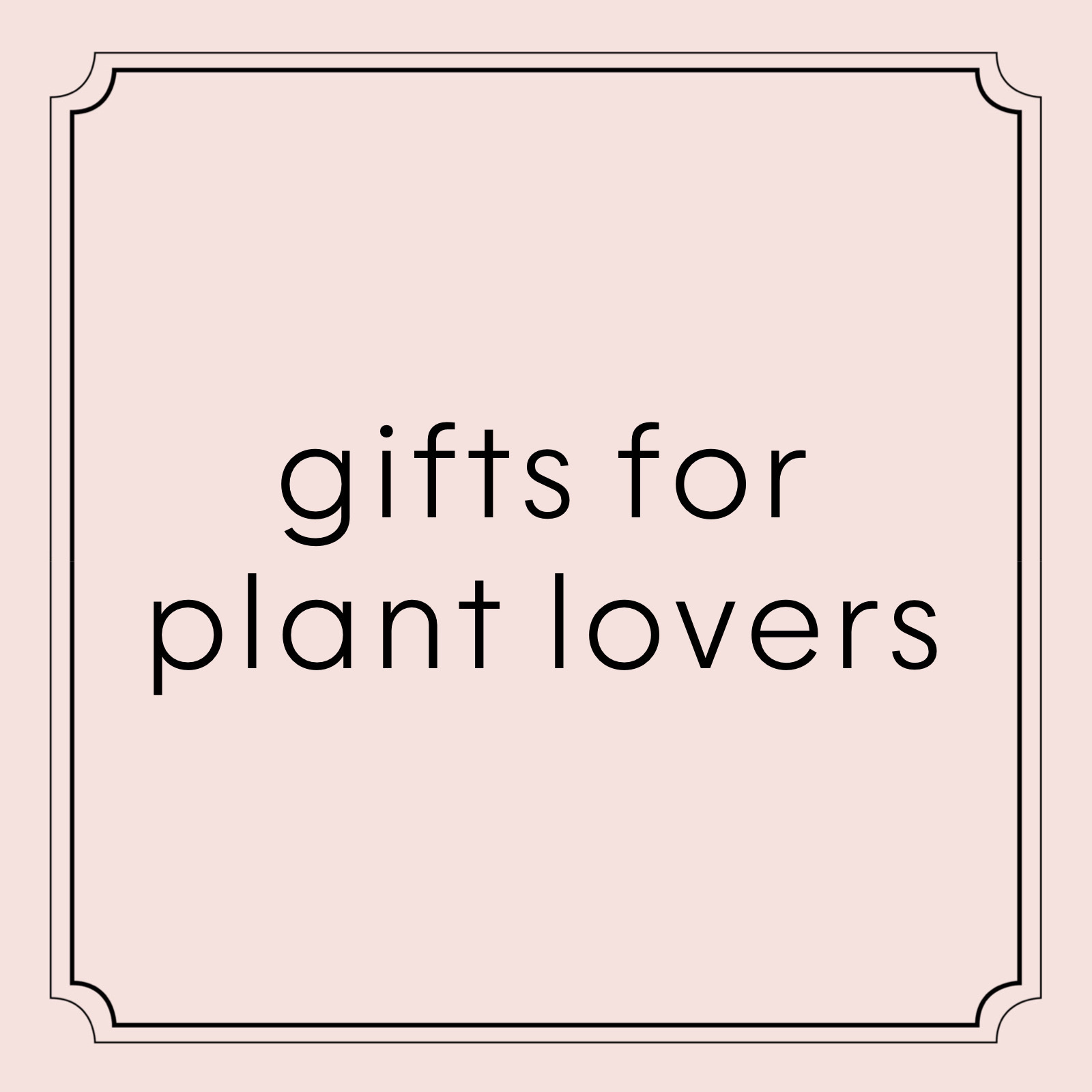 gifts for plant lovers