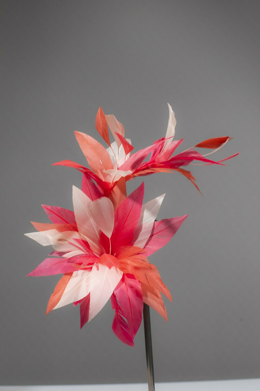 ROSE EN PLUME COLORIS ROSE