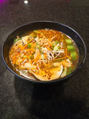 Udon Noodle Soups