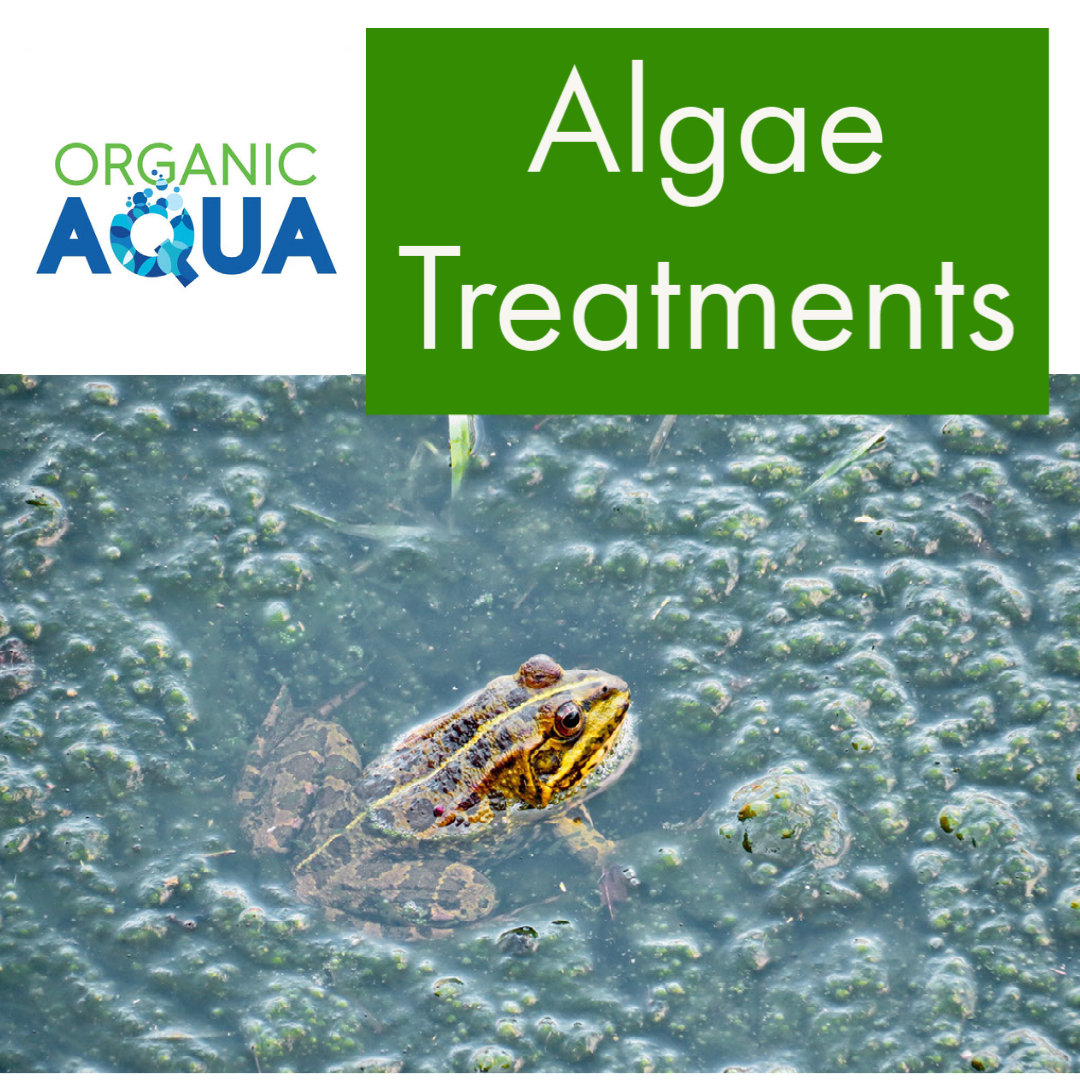Algae treatment Store Organic Aqua