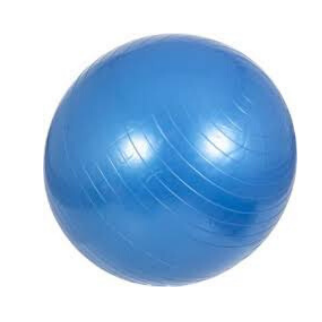 GYM BALL EVERLAST / 65 CM