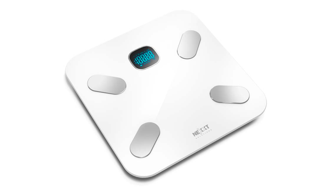 Electro World Jamaica Scales