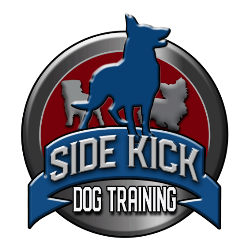 Side Kick Dog Training Online Store