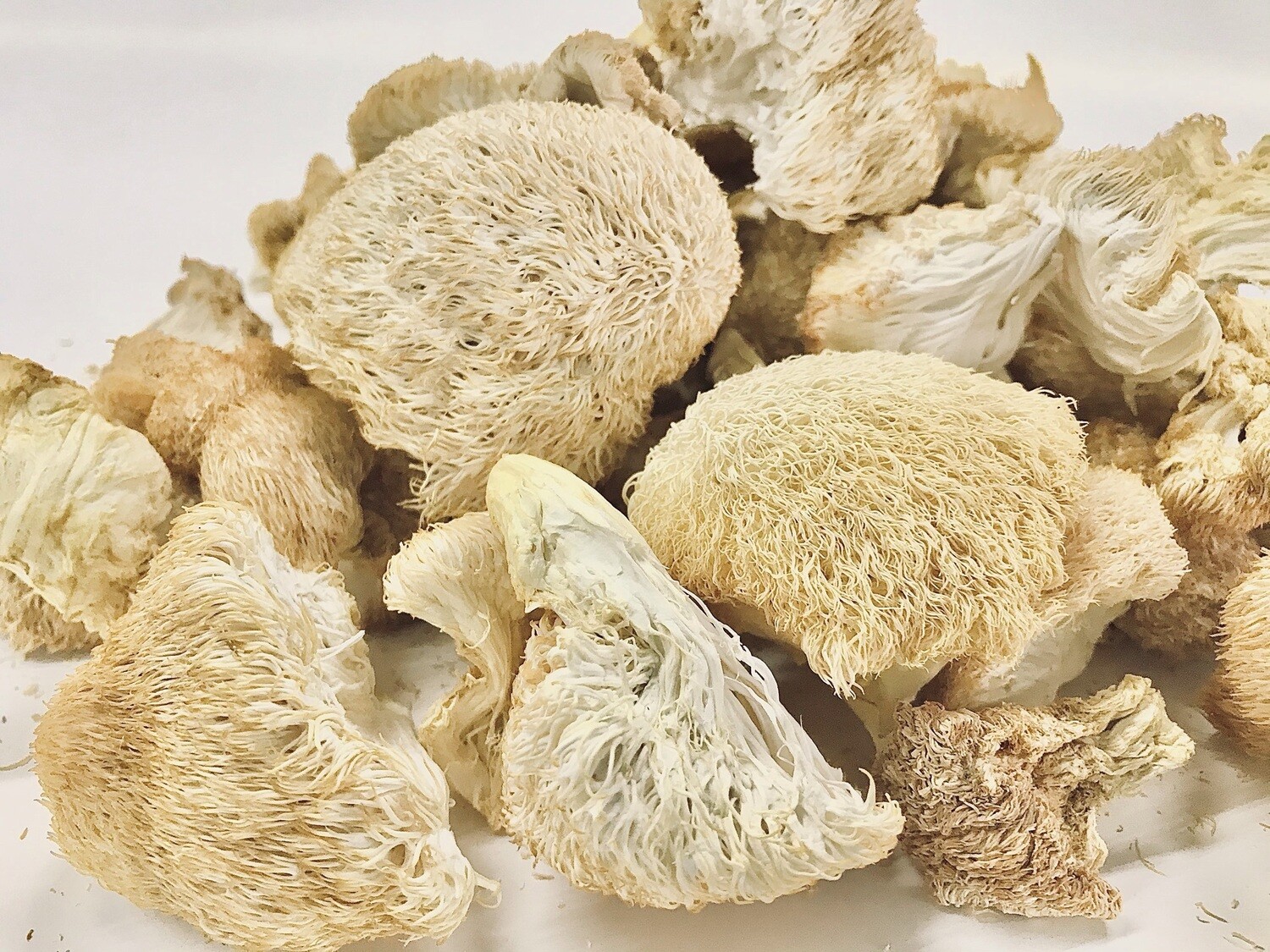 Lions Mane, Dried /.25 LBS