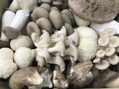 Fresh Bulk Boxes 5 lbs