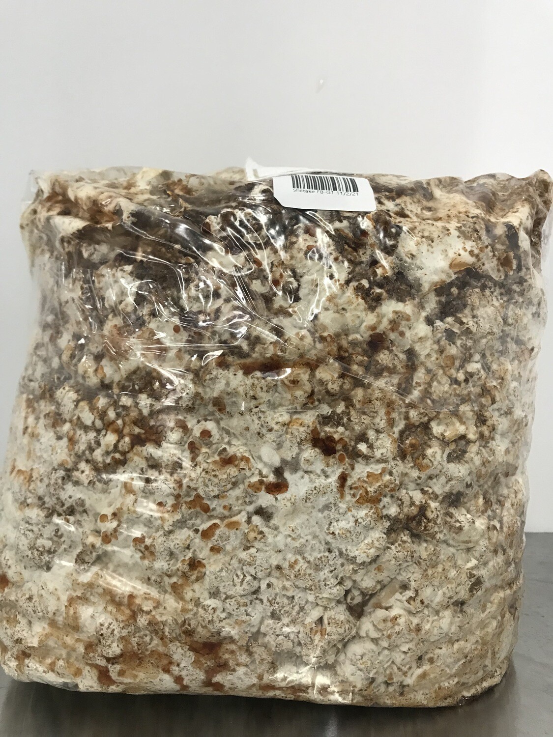 Shiitake Mushroom (fruit blocks only)