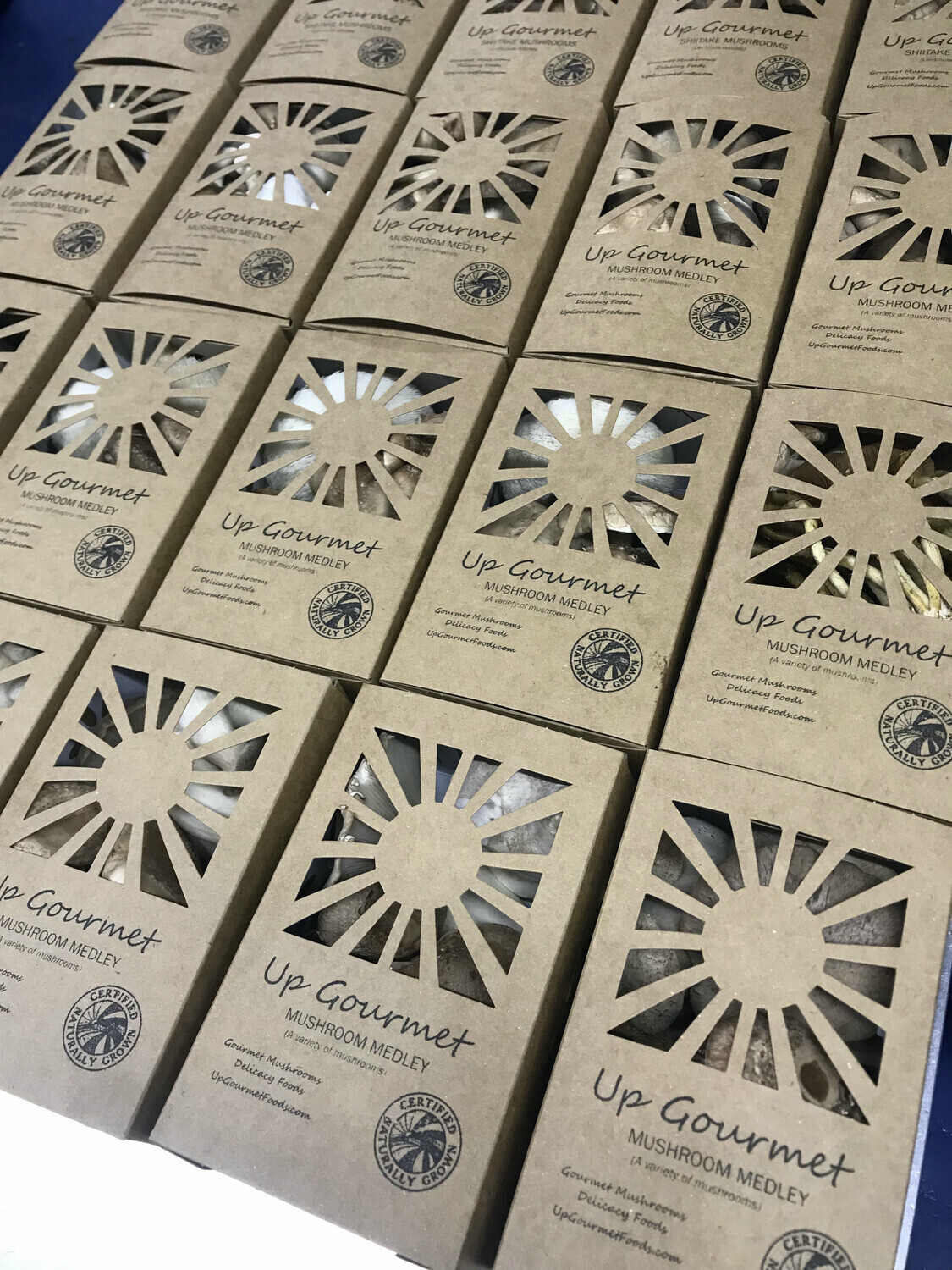 1 Month Winter Mushroom CSA (Escanaba)