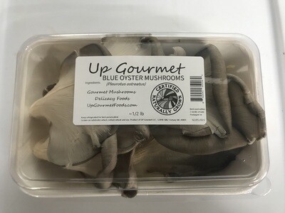 Grey/Blue Oyster Mushrooms ~1/2 lb (fresh)