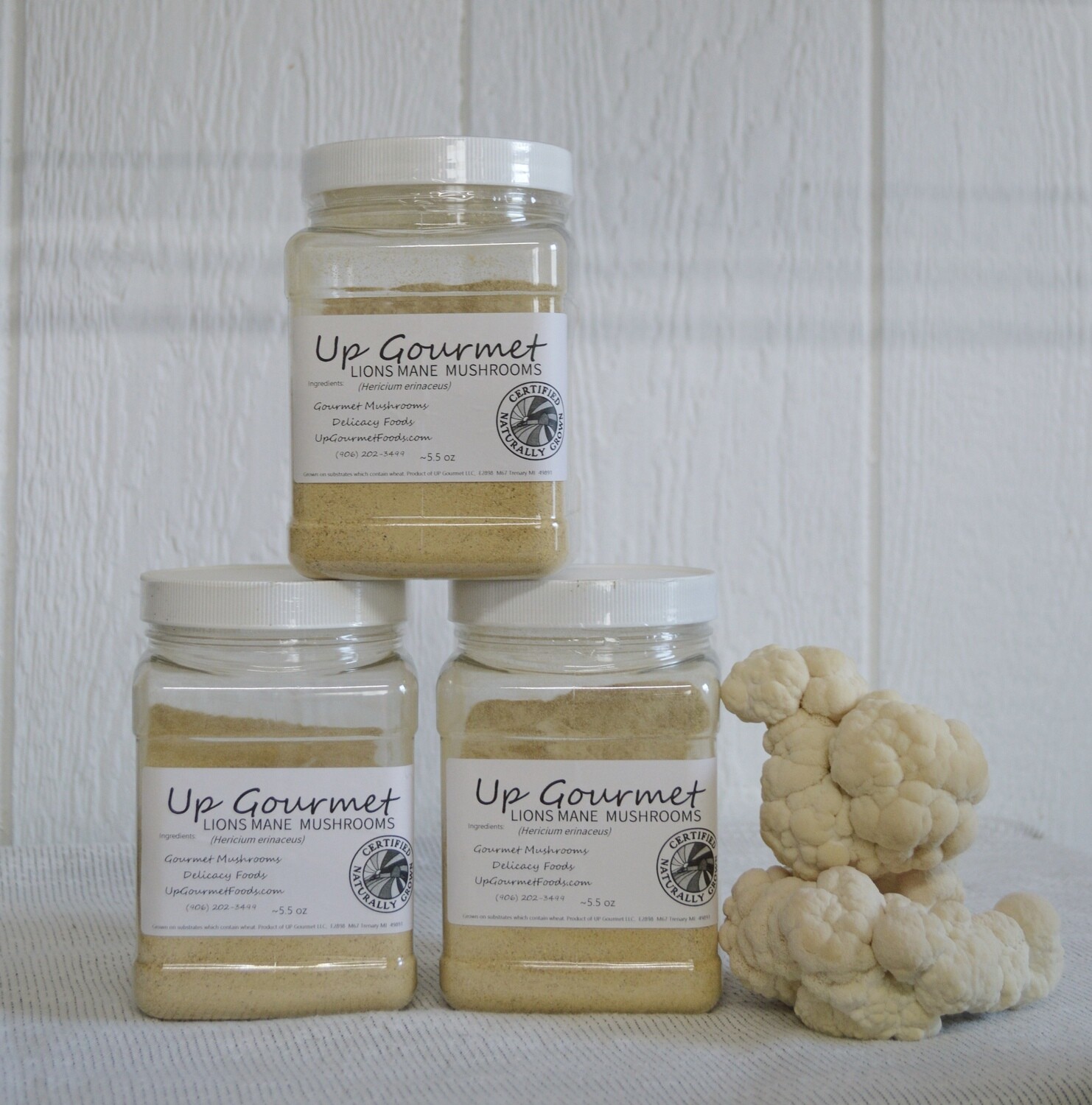 Lions Mane (bulk powder)  ~7 oz