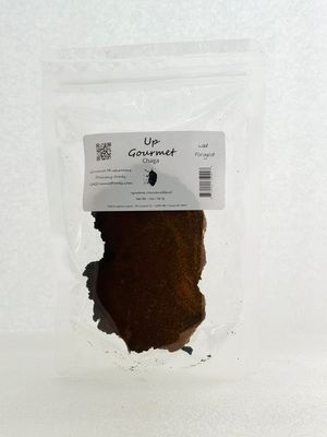 Chaga Mushrooms ~ 2 oz (dried) Wild