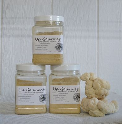 Supplement Mushroom Powders