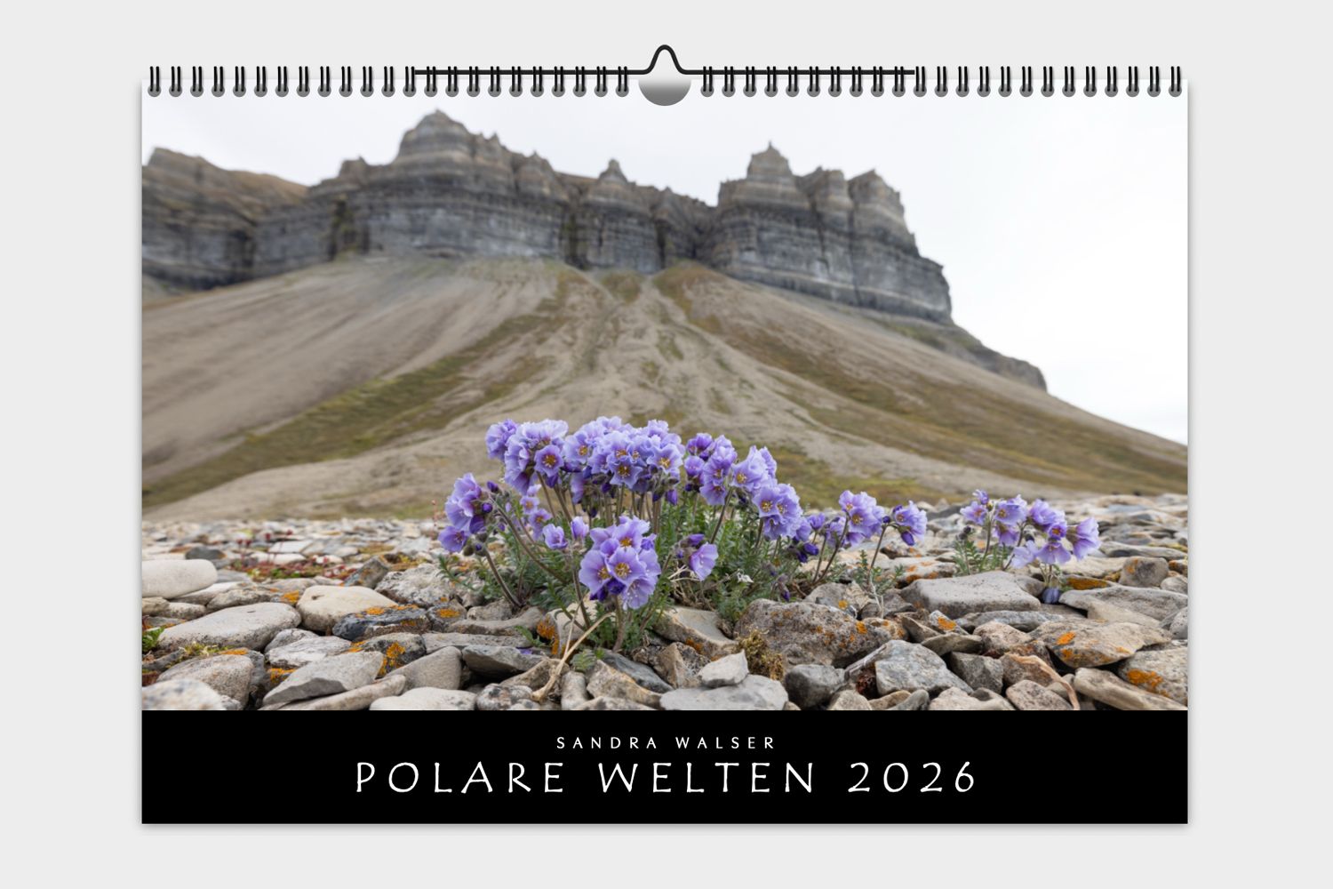 Polare Welten 2026 (Wandkalender, A3 quer)
