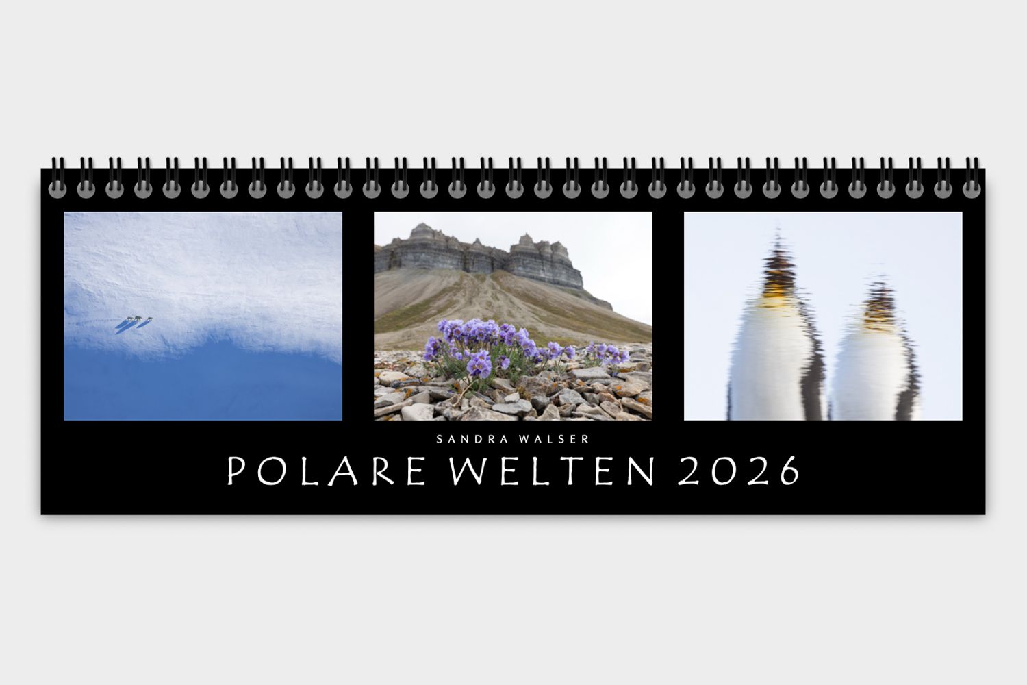 Polare Welten 2026 (Tischkalender, ½ A4 quer)