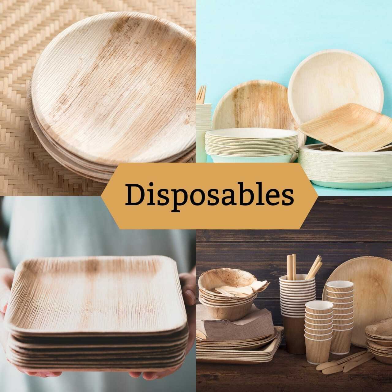 Disposables Means What at William Nagel blog