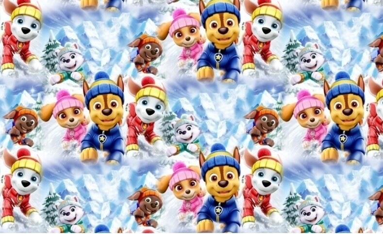 Paw Patrol & Paw Patrol - Einsatz Im Schnee (2 DVDs
