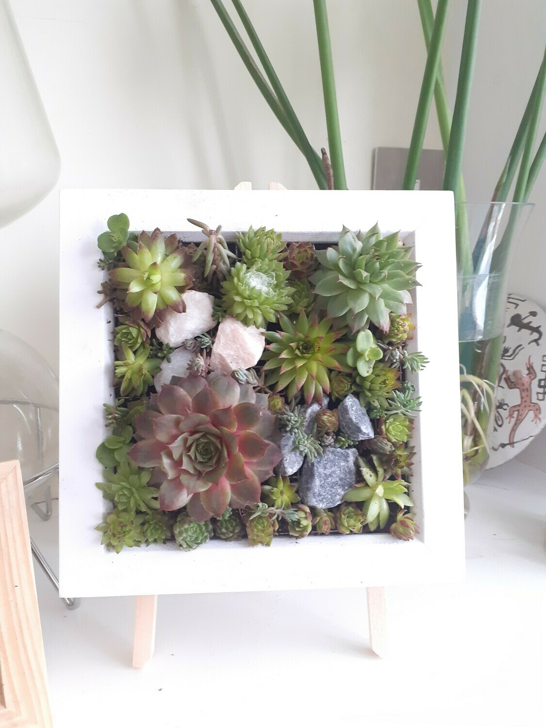 Living frame with Succulents Medium