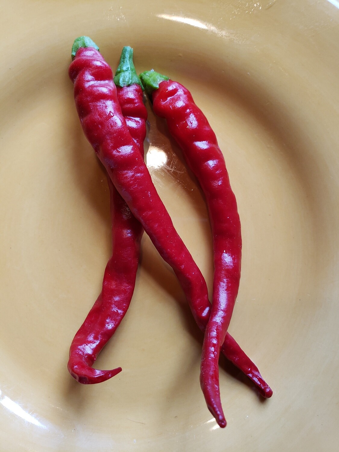 'Cayenne Long Thin' Pepper