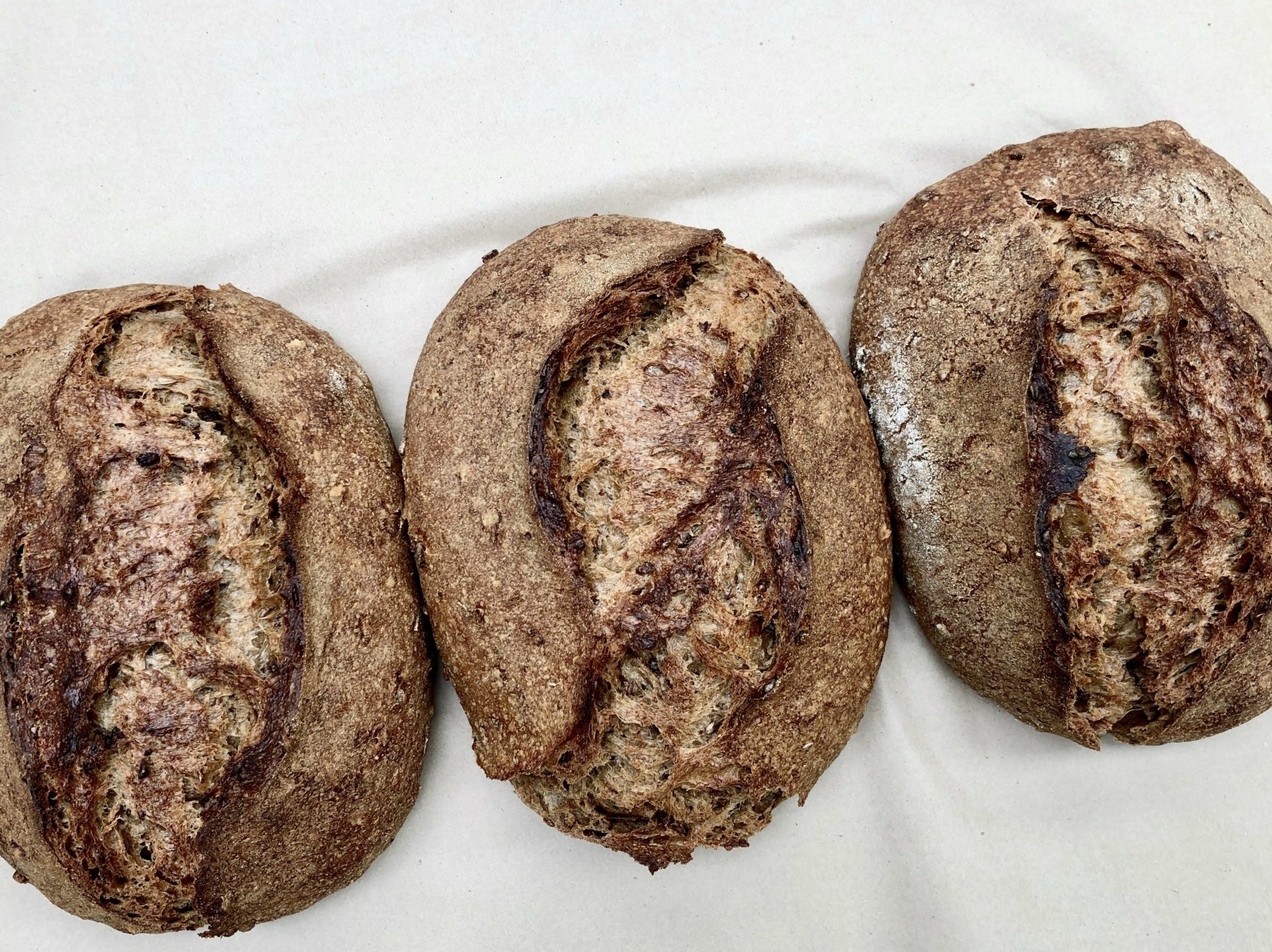 Bread