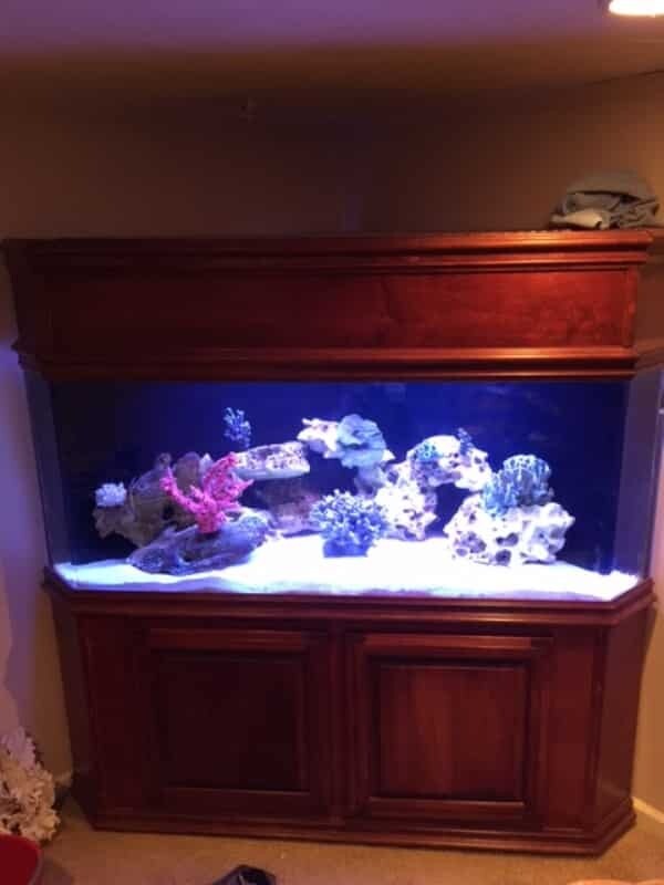 Customer Aquarium