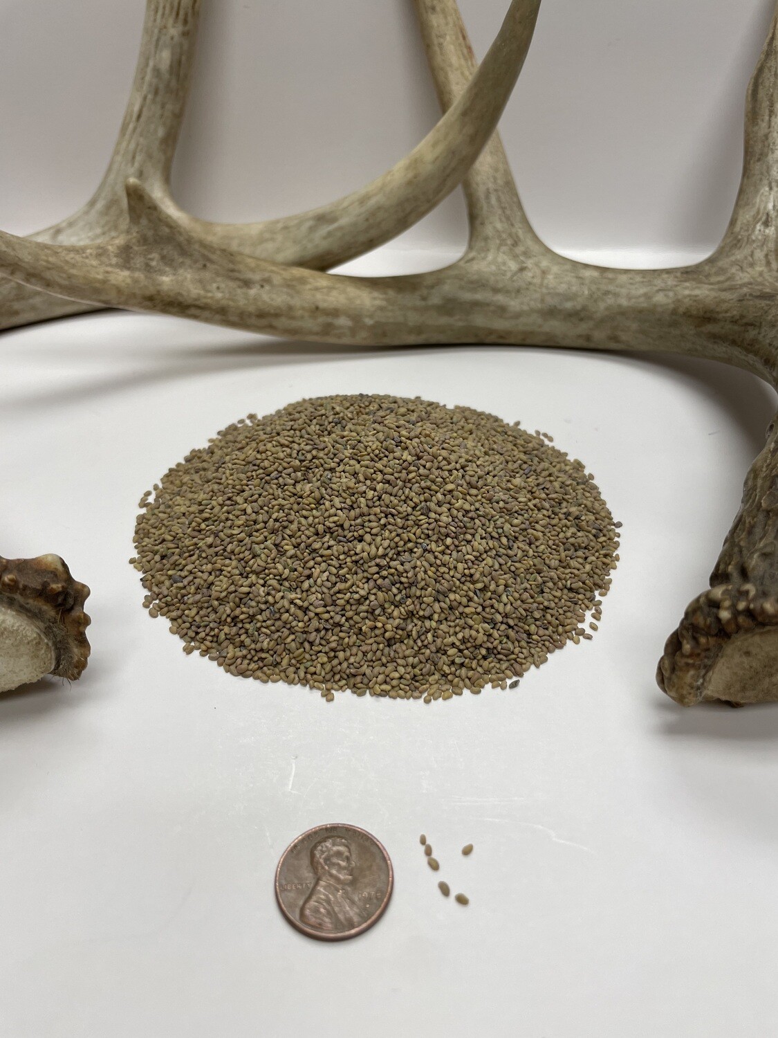 DuraLeaf Alfalfa Food Plot Seed Pulaski Warehouse Inc.